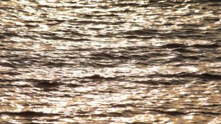 Link to Video | lake, Italy, Lake Garda