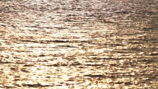 Link to Video | lake, Italy, Lake Garda