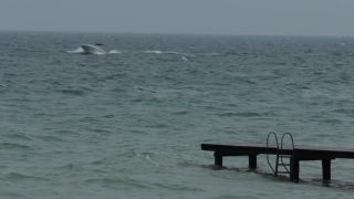 Link to Video | lake, Italy, Lake Garda