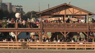 Link to Video | Oktoberfest, October, Volksfest, show, Munich, Full High Definition, Germany, Tracht, 2010s, 2010, color, Artiodactyla, attraction, traditional costume, performance, folklore, tourist attraction, Theresienwiese, horse, Bayerisches Zentral-Landwirtschaftsfest, Bavaria