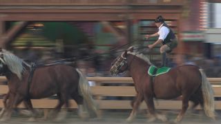 Link to Video | Oktoberfest, October, Volksfest, show, Munich, Full High Definition, Germany, Tracht, 2010s, 2010, color, Artiodactyla, attraction, traditional costume, performance, folklore, tourist attraction, Theresienwiese, horse, Bayerisches Zentral-Landwirtschaftsfest, Bavaria