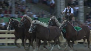 Link to Video | Oktoberfest, October, Volksfest, show, Munich, Full High Definition, Germany, Tracht, 2010s, 2010, color, Artiodactyla, attraction, traditional costume, performance, folklore, tourist attraction, Theresienwiese, horse, Bayerisches Zentral-Landwirtschaftsfest, Bavaria