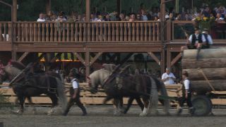 Link to Video | Oktoberfest, October, Volksfest, show, Munich, Full High Definition, Germany, Tracht, 2010s, 2010, color, Artiodactyla, attraction, traditional costume, performance, folklore, tourist attraction, Theresienwiese, horse, Bayerisches Zentral-Landwirtschaftsfest, Bavaria