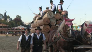 Link to Video | Oktoberfest, October, Volksfest, show, Munich, Full High Definition, Germany, Tracht, 2010s, 2010, color, Artiodactyla, attraction, traditional costume, performance, folklore, tourist attraction, Theresienwiese, horse, Bayerisches Zentral-Landwirtschaftsfest, Bavaria