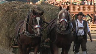 Link to Video | Oktoberfest, October, Volksfest, show, Munich, Full High Definition, Germany, Tracht, 2010s, 2010, color, Artiodactyla, attraction, traditional costume, performance, folklore, tourist attraction, Theresienwiese, horse, Bayerisches Zentral-Landwirtschaftsfest, Bavaria