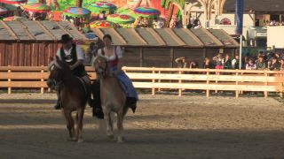 Link to Video | Oktoberfest, October, Volksfest, show, Munich, Full High Definition, Germany, Tracht, 2010s, 2010, color, Artiodactyla, attraction, traditional costume, performance, folklore, tourist attraction, Theresienwiese, horse, Bayerisches Zentral-Landwirtschaftsfest, Bavaria