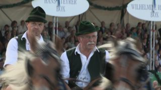 Link to Video | Oktoberfest, October, Volksfest, show, Munich, Full High Definition, Germany, Tracht, 2010s, 2010, color, Artiodactyla, attraction, traditional costume, performance, folklore, tourist attraction, Theresienwiese, horse, Bayerisches Zentral-Landwirtschaftsfest, Bavaria