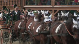 Link to Video | Oktoberfest, October, Volksfest, show, Munich, Full High Definition, Germany, Tracht, 2010s, 2010, color, Artiodactyla, attraction, traditional costume, performance, folklore, tourist attraction, Theresienwiese, horse, Bayerisches Zentral-Landwirtschaftsfest, Bavaria