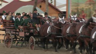 Link to Video | Oktoberfest, October, Volksfest, show, Munich, Full High Definition, Germany, Tracht, 2010s, 2010, color, Artiodactyla, attraction, traditional costume, performance, folklore, tourist attraction, Theresienwiese, horse, Bayerisches Zentral-Landwirtschaftsfest, Bavaria