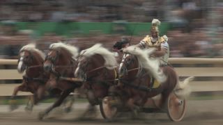 Link to Video | Oktoberfest, October, Volksfest, show, Munich, Full High Definition, Germany, Tracht, 2010s, 2010, color, Artiodactyla, attraction, traditional costume, performance, folklore, tourist attraction, Theresienwiese, horse, Bayerisches Zentral-Landwirtschaftsfest, Bavaria