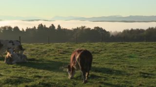 Link to Video | autumn