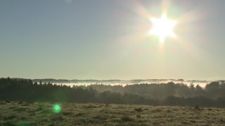 Link to Video | autumn
