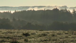 Link to Video | autumn