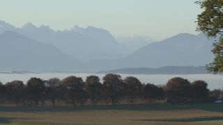 Link to Video | autumn