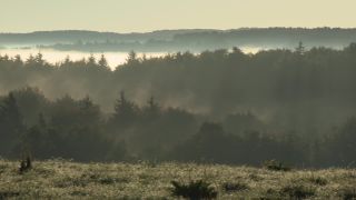 Link to Video | autumn