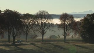 Link to Video | autumn