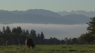 Link to Video | autumn