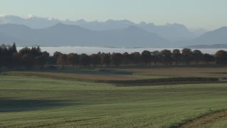 Link to Video | autumn