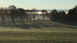 Link to Video | autumn