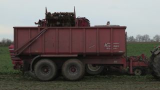 Link to Video | autumn