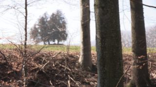 Link to Video
