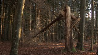 Link to Video | autumn, Full High Definition, Germany, 2012, Bavaria