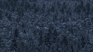 Link to Video | autumn, Full High Definition, Germany, 2012, Bavaria