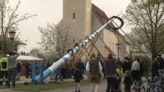 Link to Video | Upper Bavaria, community, Full High Definition, 2013, Deining (Egling), color, custom, May 1, municipality in Germany, village, teamwork, maypole, tradition, May Day, Bavaria