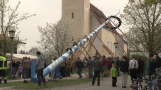 Link to Video | Upper Bavaria, community, Full High Definition, 2013, Deining (Egling), color, custom, May 1, municipality in Germany, village, teamwork, maypole, tradition, May Day, Bavaria