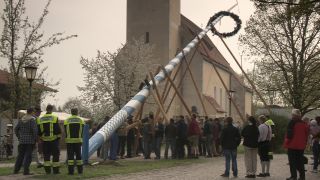 Link to Video | Upper Bavaria, community, Full High Definition, 2013, Deining (Egling), color, custom, May 1, municipality in Germany, village, teamwork, maypole, tradition, May Day, Bavaria