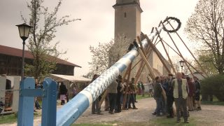 Link to Video | Upper Bavaria, community, Full High Definition, 2013, Deining (Egling), color, custom, May 1, municipality in Germany, village, teamwork, maypole, tradition, May Day, Bavaria