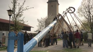 Link to Video | Upper Bavaria, community, Full High Definition, 2013, Deining (Egling), color, custom, May 1, municipality in Germany, village, teamwork, maypole, tradition, May Day, Bavaria