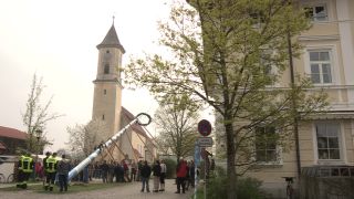 Link to Video | Upper Bavaria, community, Full High Definition, 2013, Deining (Egling), color, custom, May 1, municipality in Germany, village, teamwork, maypole, tradition, May Day, Bavaria