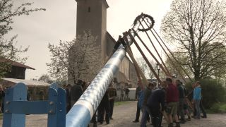 Link to Video | Upper Bavaria, community, Full High Definition, 2013, Deining (Egling), color, custom, May 1, municipality in Germany, village, teamwork, maypole, tradition, May Day, Bavaria