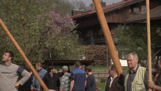 Link to Video | Upper Bavaria, community, Full High Definition, 2013, Deining (Egling), color, custom, May 1, municipality in Germany, village, teamwork, maypole, tradition, May Day, Bavaria
