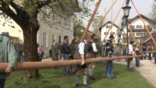 Link to Video | Upper Bavaria, community, Full High Definition, 2013, Deining (Egling), color, custom, May 1, municipality in Germany, village, teamwork, maypole, tradition, May Day, Bavaria