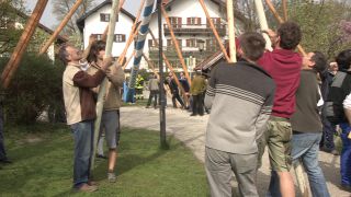 Link to Video | Upper Bavaria, community, Full High Definition, 2013, Deining (Egling), color, custom, May 1, municipality in Germany, village, teamwork, maypole, tradition, May Day, Bavaria