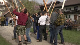 Link to Video | Upper Bavaria, community, Full High Definition, 2013, Deining (Egling), color, custom, May 1, municipality in Germany, village, teamwork, maypole, tradition, May Day, Bavaria