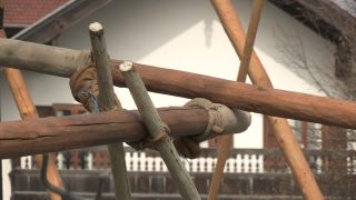 Link to Video | Upper Bavaria, community, Full High Definition, 2013, Deining (Egling), color, custom, May 1, municipality in Germany, village, teamwork, maypole, tradition, May Day, Bavaria