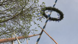 Link to Video | Upper Bavaria, community, Full High Definition, 2013, Deining (Egling), color, custom, May 1, municipality in Germany, village, teamwork, maypole, tradition, May Day, Bavaria