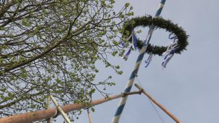 Link to Video | Upper Bavaria, community, Full High Definition, 2013, Deining (Egling), color, custom, May 1, municipality in Germany, village, teamwork, maypole, tradition, May Day, Bavaria