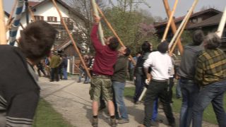 Link to Video | Upper Bavaria, community, Full High Definition, 2013, Deining (Egling), color, custom, May 1, municipality in Germany, village, teamwork, maypole, tradition, May Day, Bavaria