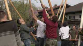 Link to Video | Upper Bavaria, community, Full High Definition, 2013, Deining (Egling), color, custom, May 1, municipality in Germany, village, teamwork, maypole, tradition, May Day, Bavaria