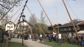 Link to Video | Upper Bavaria, community, Full High Definition, 2013, Deining (Egling), color, custom, May 1, municipality in Germany, village, teamwork, maypole, tradition, May Day, Bavaria