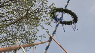 Link to Video | Upper Bavaria, community, Full High Definition, 2013, Deining (Egling), color, custom, May 1, municipality in Germany, village, teamwork, maypole, tradition, May Day, Bavaria