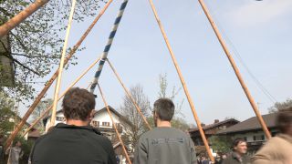 Link to Video | Upper Bavaria, community, Full High Definition, 2013, Deining (Egling), color, custom, May 1, municipality in Germany, village, teamwork, maypole, tradition, May Day, Bavaria