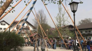 Link to Video | Upper Bavaria, community, Full High Definition, 2013, Deining (Egling), color, custom, May 1, municipality in Germany, 1990s, village, teamwork, maypole, tradition, May Day, Bavaria