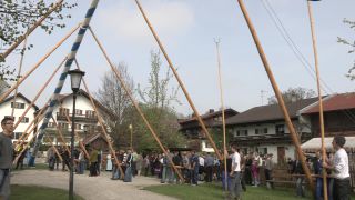 Link to Video | Upper Bavaria, community, Full High Definition, 2013, Deining (Egling), color, custom, May 1, municipality in Germany, village, teamwork, maypole, tradition, May Day, Bavaria