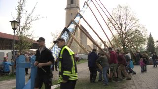 Link to Video | Upper Bavaria, community, Full High Definition, 2013, Deining (Egling), color, custom, May 1, municipality in Germany, village, teamwork, maypole, tradition, May Day, Bavaria