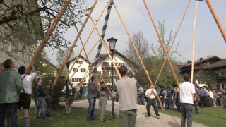 Link to Video | Upper Bavaria, community, Full High Definition, 2013, Deining (Egling), color, custom, May 1, municipality in Germany, village, teamwork, maypole, tradition, May Day, Bavaria